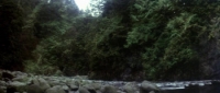 Prophecy (1979) [BluRay] [720p] [YTS] [YIFY]