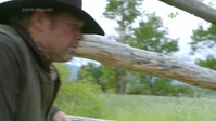 Breaking Wild S01E06 XviD-AFG EZTV