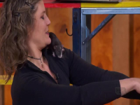 Stupid Pet Tricks S01E06 480p x264-mSD EZTV