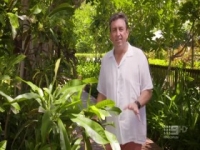 The Garden Gurus S28E05 480p x264-mSD [eztv]