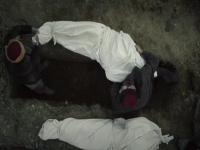 Creature 2023 S01E01 480p x264-mSD EZTV Creature 2023 S01E01 480p x264-mSD EZTV