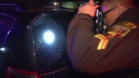 Cops S32E06 WEB x264-CookieMonster [eztv]