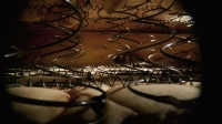 Winterwatch S05E02 720p HDTV x264-PiECES[eztv]