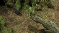 Speckles: The Tarbosaurus (2012) [720p] [BluRay] [YTS] [YIFY]