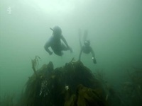 Devon and Cornwall S04E03 480p x264-mSD EZTV