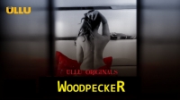 Woodpecker (2020) ULLU Hindi 720p HDRip x264 AAC