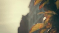 Made in Chelsea S23E05 XviD-AFG EZTV