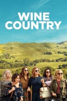Wine Country 2019 720p WEBRip 800MB x264-GalaxyRG