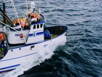 Deadliest Catch S18E14 480p x264-mSD EZTV
