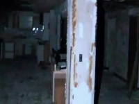 Destination Fear S02E01 Nopeming Sanatorium 480p x264-mSD [eztv]