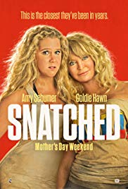 Snatched [2017] BRRip XviD-BLiTZKRiEG avi