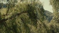 Physical S02E09 XviD-AFG EZTV