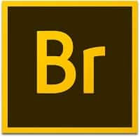 Adobe.Bridge.CC 2019 v9.0.3 RePack [Kolompc]