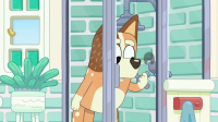 Bluey S01E42 iNTERNAL XviD-AFG EZTV