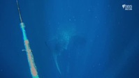 Planet Reef S01E03 XviD-AFG EZTV Planet Reef S01E03 XviD-AFG EZTV