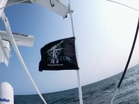 Wicked Tuna S10E16 480p x264-mSD EZTV Wicked Tuna S10E16 480p x264-mSD EZTV