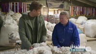 The Living Room S10E17 XviD-AFG EZTV