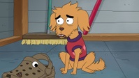 Housebroken S01E06 1080p HEVC x265-MeGusta EZTV