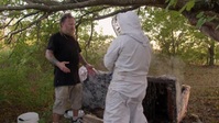 Bee Czar S01E02 Bee the Tree XviD-AFG EZTV
