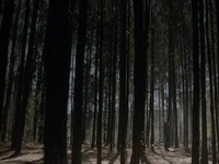 Legacies S03E14 480p x264-mSD EZTV