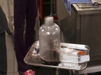Animal ER S02E04 Miracle Max 480p x264-mSD [eztv]