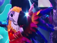 The Masked Singer S09E13 480p x264-mSD EZTV