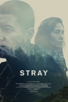 Stray 2019 1080p WEB-DL DD5 1 H264-FGT[TGx]
