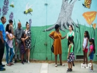Laff Mobbs Laff Tracks S02E11 480p x264-mSD [eztv]