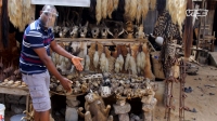 Wet Markets Exposed S01E03 1080p WEB h264-BAE EZTV Wet Markets Exposed S01E03 1080p WEB h264-BAE EZTV