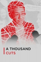 A Thousand Cuts 2020 720p WEBRip 800MB x264-GalaxyRG