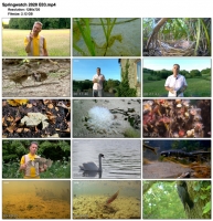 Springwatch 2020 E03 (1280x720p HD, 50fps, soft Eng subs)