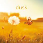 GEOFF MCGARVEY, GRAEME KEAVNEY - DUSK (LOSSLESS, 2018)