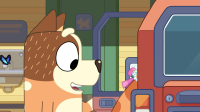 Bluey S03E49 720p WEB h264-DOLORES EZTV