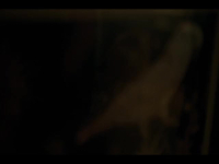 Wolf Like Me S02E02 480p x264-mSD EZTV Wolf Like Me S02E02 480p x264-mSD EZTV