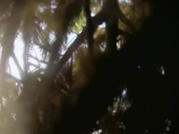 The Proof Is Out There S03E15 480p x264-mSD EZTV The Proof Is Out There S03E15 480p x264-mSD EZTV