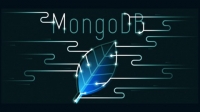Udemy - Mongo GoLang Go Python PHP Node React Management Interface Udemy - Mongo GoLang Go Python PHP Node React Management Interface