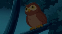 Bat Pat S01E10 720p WEB x264-CRiMSON [eztv]