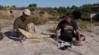 Hunting Dinosaurs S01E01 XviD-AFG EZTV