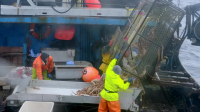 Deadliest Catch S20E04 720p WEB H264-JFF EZTV