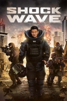 Shock Wave (2017) WEBRip HC ENG SUBS - SHADOW[TGx]
