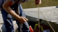 Swamp People S09E14 720p WEB h264-TBS[eztv]