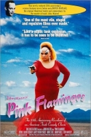Pink Flamingos 1972 (John Waters-Comedy-Crime) 720p x264-Classics