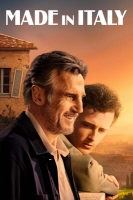 Made in Italy 2020 720p 10bit BluRay 6CH x265 HEVC-PSA