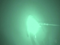 Dog Squad S11E02 480p x264-mSD EZTV Dog Squad S11E02 480p x264-mSD EZTV