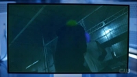 Black Lightning S04E04 XviD-AFG EZTV Black Lightning S04E04 XviD-AFG EZTV