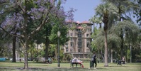 Shrinking S01E02 720p WEB h264-TRUFFLE EZTV