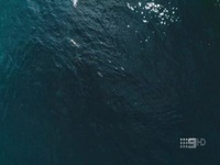 Desert Vet S01E04 480p x264-mSD EZTV Desert Vet S01E04 480p x264-mSD EZTV
