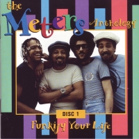 The Meters-2 disk anthology (Louisiana swamp-funk) EAC FLAC The Meters-2 disk anthology (Louisiana swamp-funk) EAC FLAC