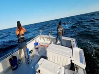 Wicked Tuna S12E08 480p x264-mSD EZTV