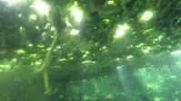 Secret Life Underground S01E02 XviD-AFG EZTV